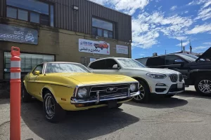 tesla paint body shop in Richmond Hill, ontario — 为您的特斯拉焕然一新